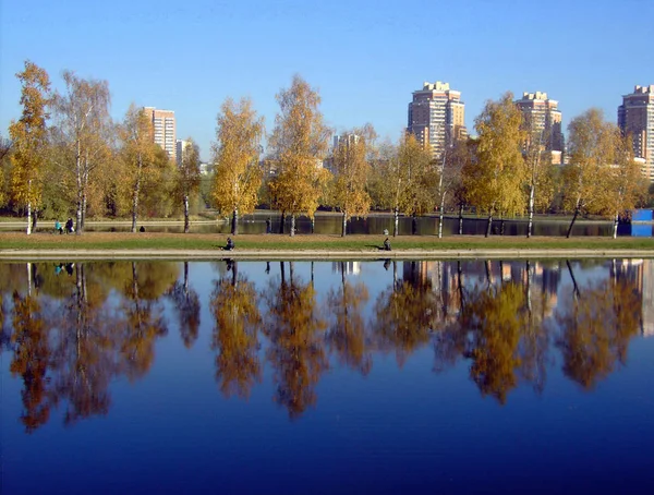 Sonbaharda altın park — Stok fotoğraf