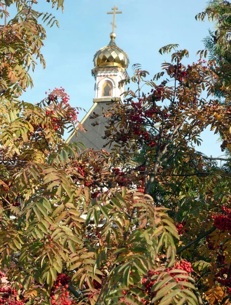 Old wood temple bogorodskiy and asberry — Stock Photo, Image