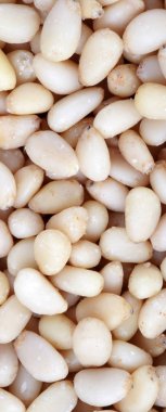 Bir sürü sedir fıstığı.