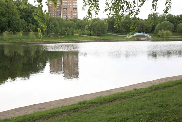 Summer park at dry day — Stock Photo, Image