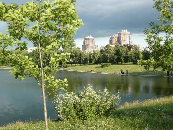 Sommar i stadsparken — Stockfoto