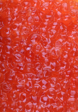 Gündüz kırmızı havyar