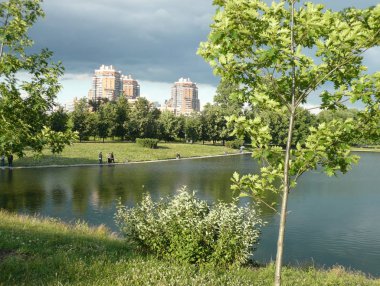 Şehir parkında yaz 