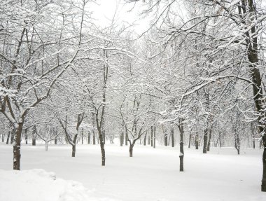 sonra kar yağışı