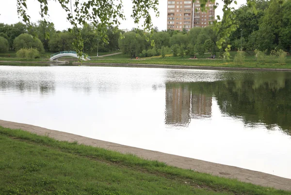 Parque de verão no dia seco — Fotografia de Stock