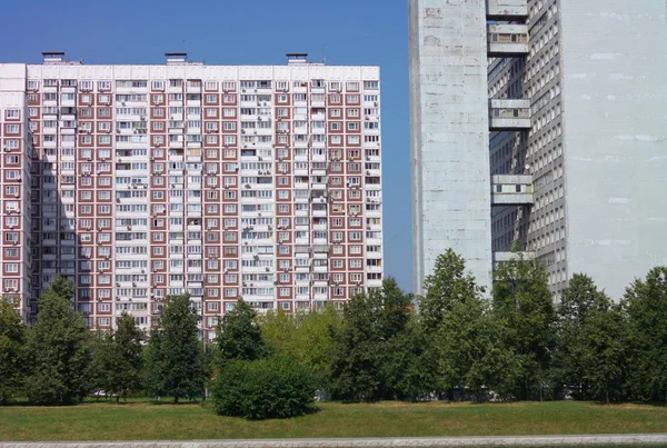 Zomer in stadspark — Stockfoto