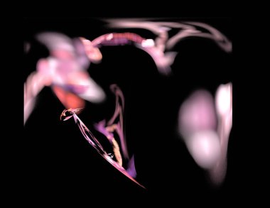 Siyah Renk Üzerine Bir Dijital Fraktal Resmi