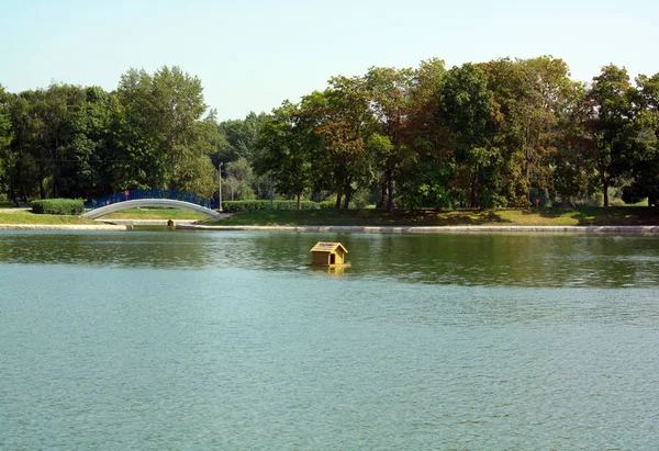 Şehir parkında yaz — Stok fotoğraf