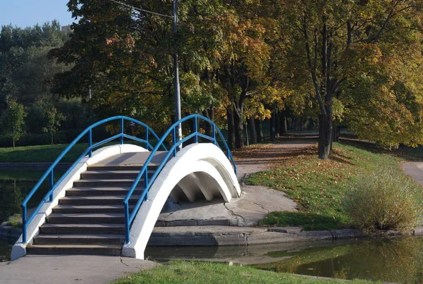 Park in gold fall — Stock Photo, Image