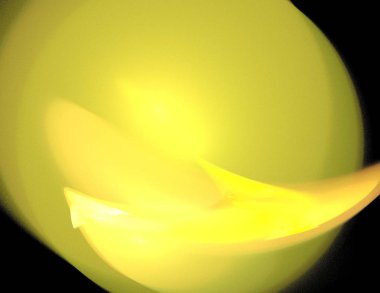 Siyah Renk Üzerine Bir Dijital Fraktal Resmi