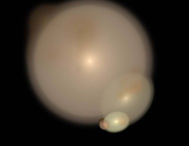 Siyah Renk Üzerine Bir Dijital Fraktal Resmi