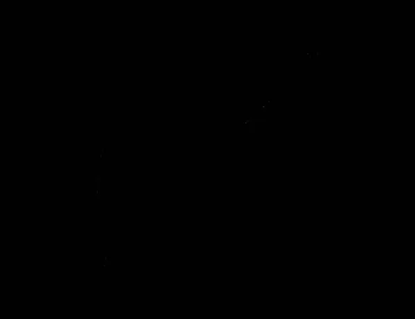Image of one Digital Fractal on Black Color — Stock Photo, Image