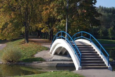 Sonbaharda altın park