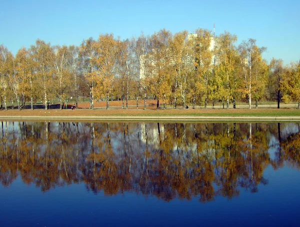 Puisto kultaa syksyllä — kuvapankkivalokuva