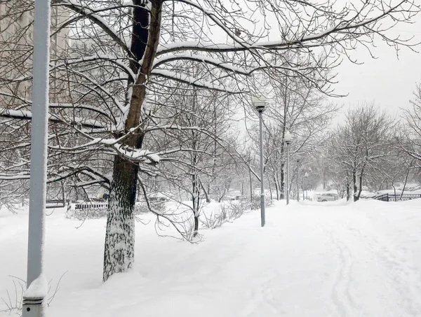 Parco cittadino dopo nevicate diurne — Foto Stock