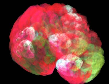 Siyah Renk Üzerine Bir Dijital Fraktal Resmi