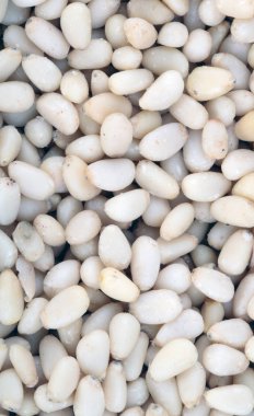 Bir sürü sedir fıstığı.