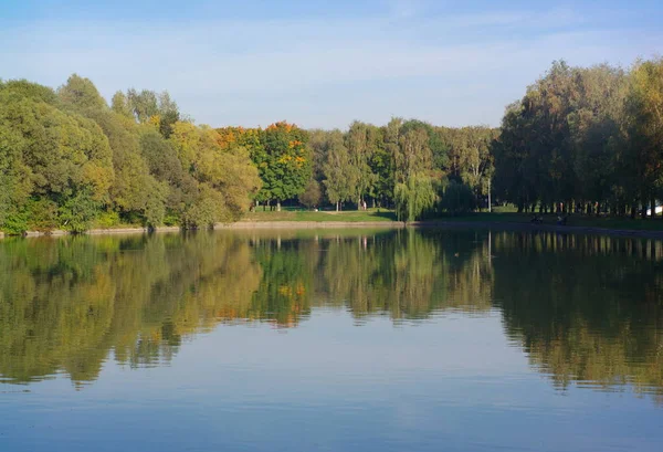 Zomer in stadspark — Stockfoto