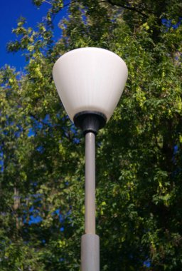 kuru günde fener ve ağaç