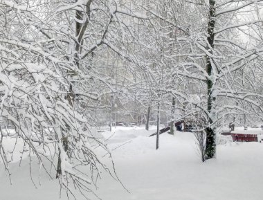 Şehir parkında kar yağdıktan sonra gündüz