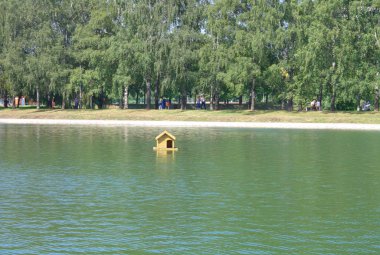 Şehir parkında yaz