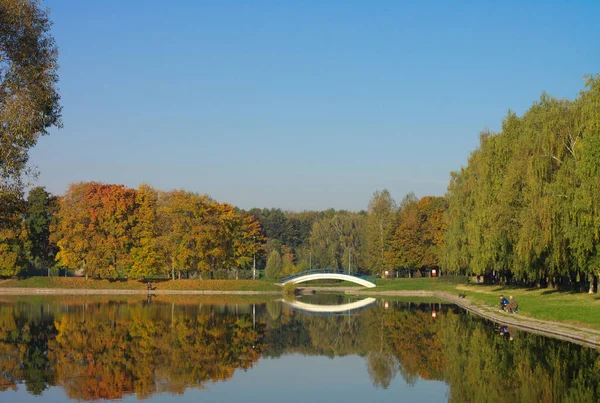 黄金の滝の公園 — ストック写真