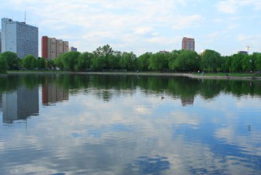 Şehir parkında bahar