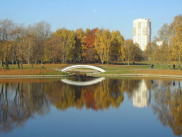 Park in gouden val — Stockfoto