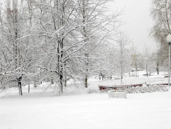 Parc municipal après les chutes de neige le jour — Photo