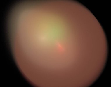 Siyah Renk Üzerine Bir Dijital Fraktal Resmi