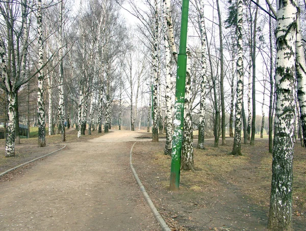 Весна в міському парку — стокове фото