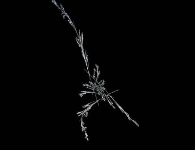 Siyah Renk Üzerine Bir Dijital Fraktal Resmi