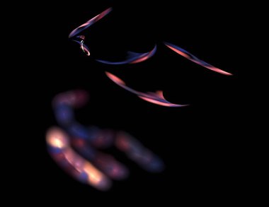 Siyah Renk Üzerine Bir Dijital Fraktal Resmi