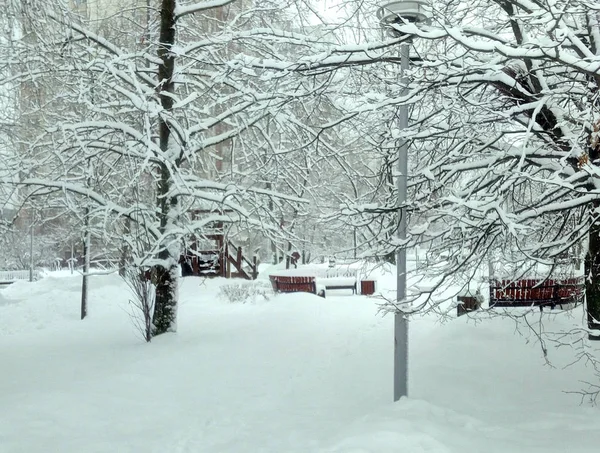 Parque da cidade após a queda de neve no dia — Fotografia de Stock