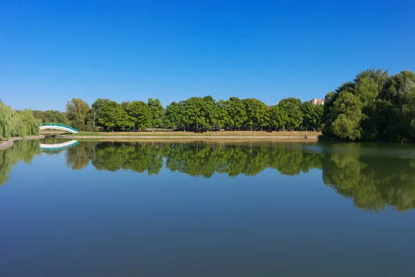 Summer in city park — Stock Photo, Image