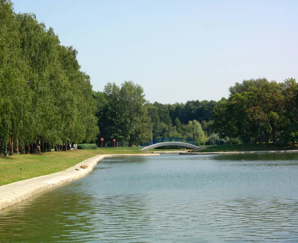 Estate nel parco cittadino — Foto Stock