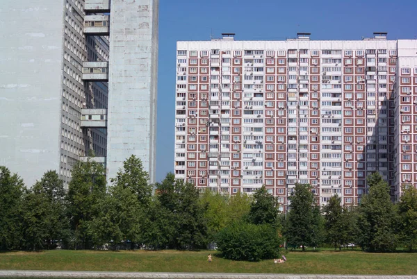 Summer in city park — Stock Photo, Image