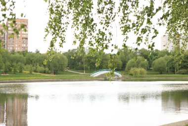 Kuru güneşli bir günde yaz parkı