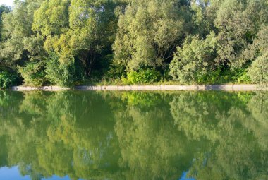 Kuru güneşli bir günde yaz parkı