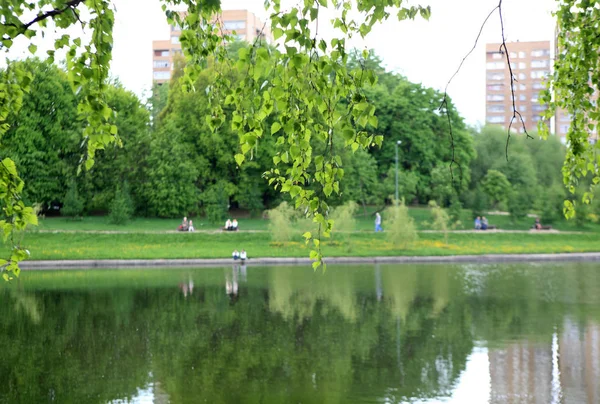 Parc d'été à sec journée ensoleillée — Photo