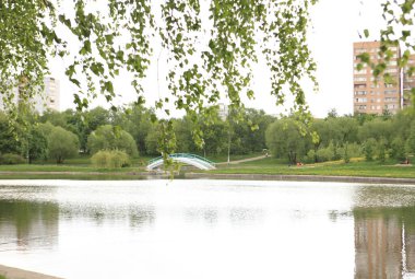 Kuru güneşli bir günde yaz parkı