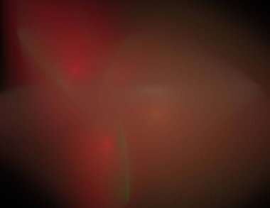 Siyah Renk Üzerine Bir Dijital Fraktal Resmi