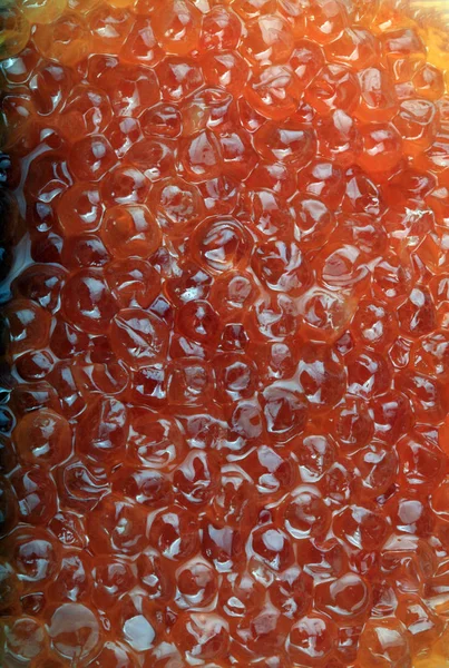 Caviar Vermelho Durante Dia — Fotografia de Stock