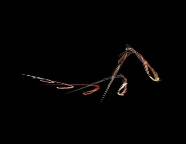 Siyah Renk Üzerine Bir Dijital Fraktal Resmi