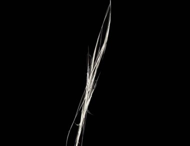 Dijital fraktal ile çok renkli bir çizimi