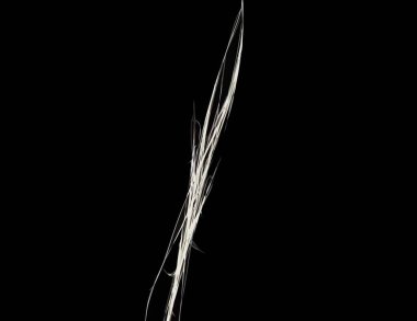 Siyah Renk Üzerine Bir Dijital Fraktal Resmi