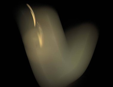 Siyah Renk Üzerine Bir Dijital Fraktal Resmi