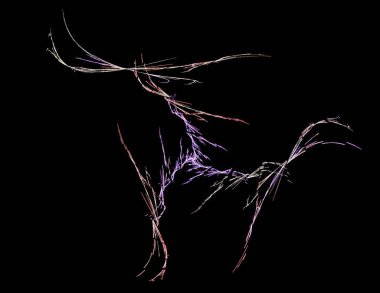 Siyah Renk Üzerine Bir Dijital Fraktal Resmi