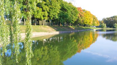 Kuru güneşli bir günde sonbahar parkı