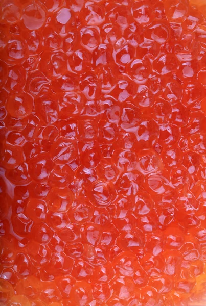 Vörös Kaviár Nappal — Stock Fotó